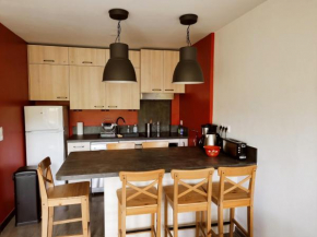 Appartement rénové 2 ch au calme, à côté du Luge Park - FR-1-689-110
